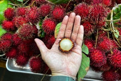 Hawaii Off The Beaten Path Food Tour