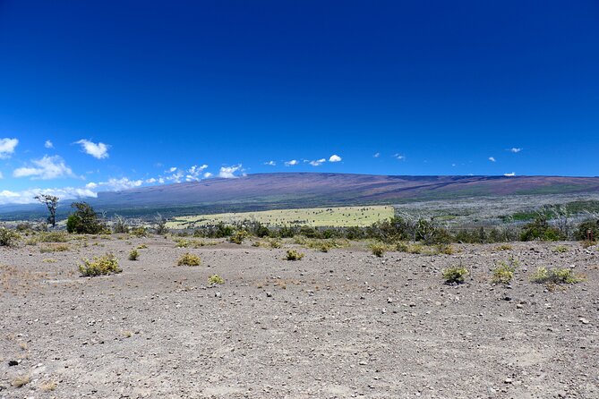 Hawaii Volcanoes National Park and Hilo Highlights Small Group Tour - Why the small group matters
