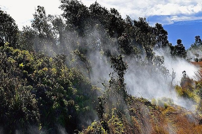 Hawaii Volcanoes National Park Experience Departing from Oahu - Manuka State Wayside Park offers a quiet forest break