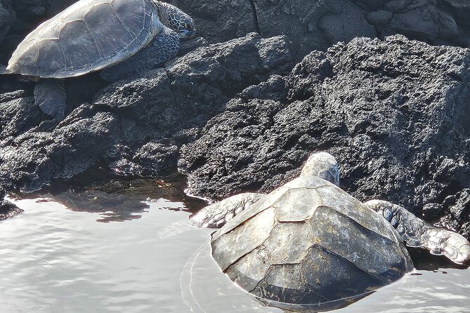 Hawaii Volcanoes, Waterfalls, Beaches & Hilo Highlights Day Tour - Rainbow Falls and the big banyan tree