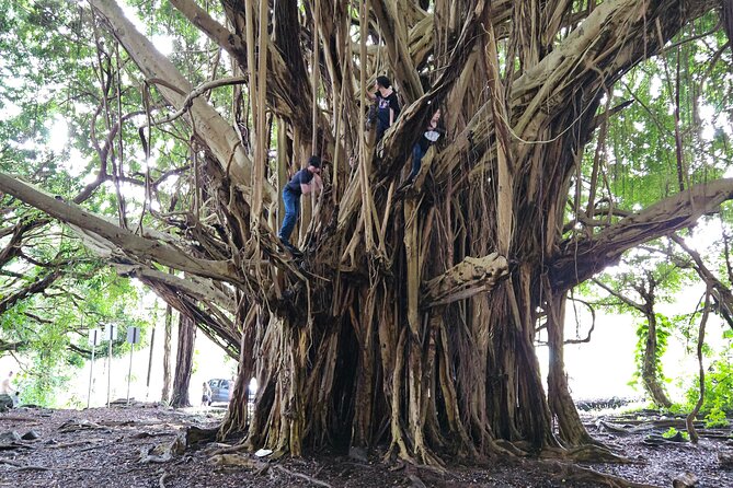 Hawaii Volcanoes, Waterfalls, Beaches & Hilo Highlights Day Tour - Richardson Ocean Park and the black sand coast