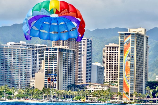 Hawaiian Parasail Since 1977 - Wildlife Watching Between Flights