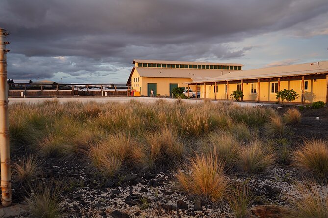 Hawaiian Salt Farm Tour in Kona - A few practical tips for a better visit