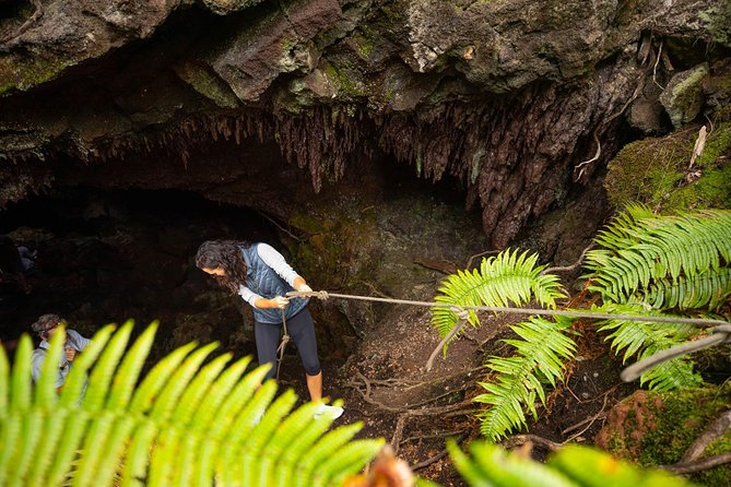 Hidden Craters Hike of Kona - Views that reward the climb