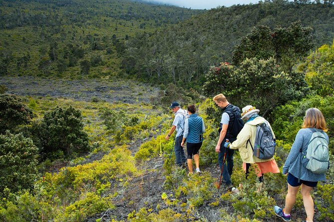 Hidden Craters Hike of Kona - Guides who explain the place, not just the path