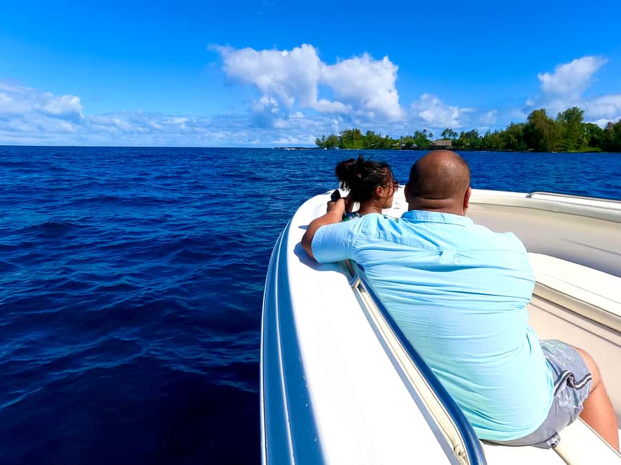 Hilo: Humpback Whale-Watching Cruise with Snacks and Drinks - Key points to know before you book