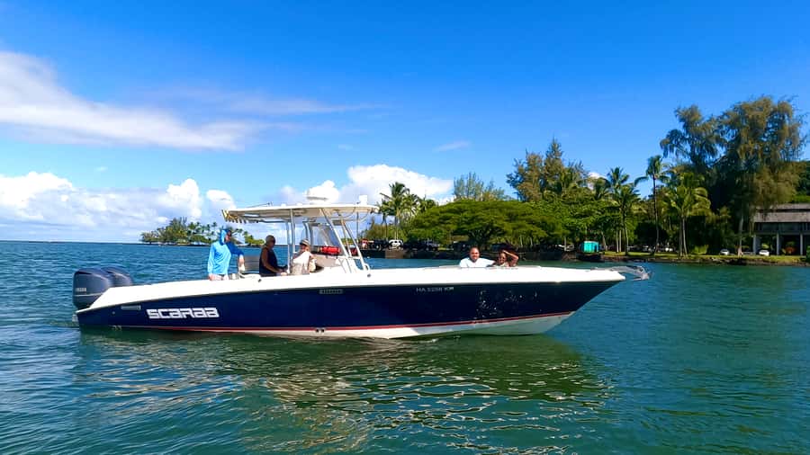 Hilo: Humpback Whale-Watching Cruise with Snacks and Drinks - The first minutes on Hilo waters