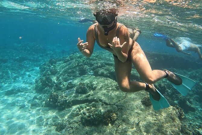 Hilo Sea Turtle Snorkel Adventure - What the Hilo Sea Turtle Snorkel Adventure is really like