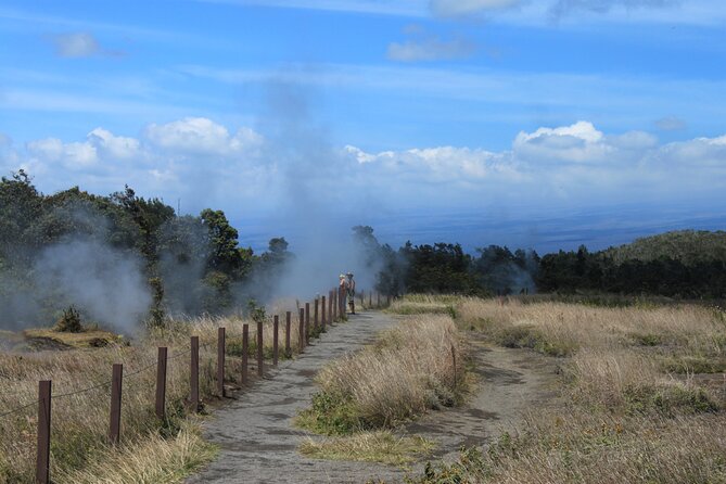 Hilo Shore Excursion: Active Volcano, Lava Tube, Waterfall and Gardens - A selected taste of Chain of Craters Road