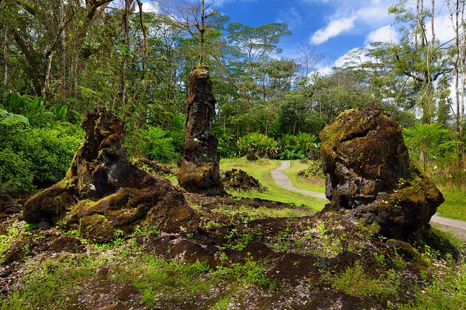 Hilo Shore Excursion: Volcano Safari Lava Caves & Black Sand - Lunch is simple, local, and on your own