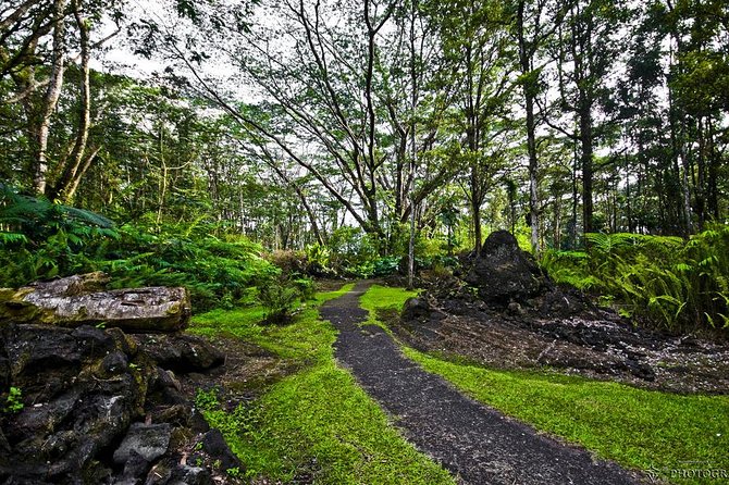 Hilo Shore Excursion: Volcano Safari Lava Caves & Black Sand - What the $154 price gets you
