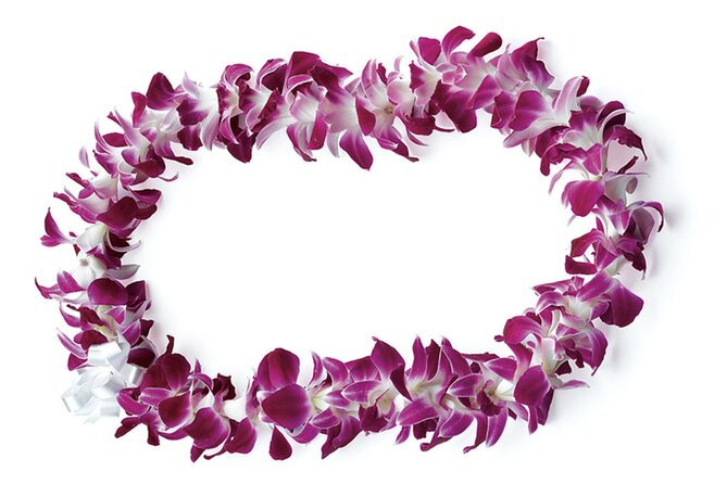 Honolulu Airport: Waikiki Private Transfer With Lei Greeting - A lei greeting that starts the vacation early
