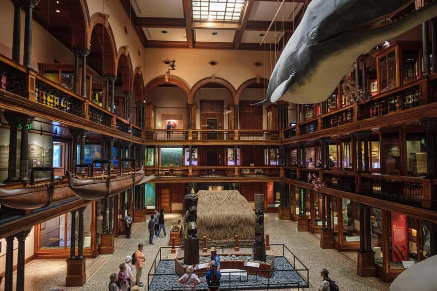 Honolulu: Bishop Museum General Admission Ticket - Why Bishop Museum matters in Honolulu