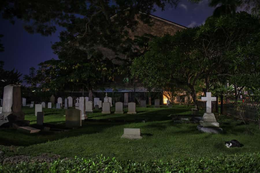 Honolulu Haunts: Ghosts and Spirits Walking Tour - Who will enjoy this Honolulu walk?