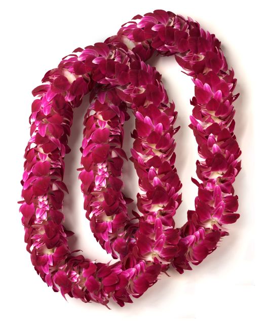 Honolulu Honeymoon Airport Lei Greeting - Timing, cancellations, and arrival planning