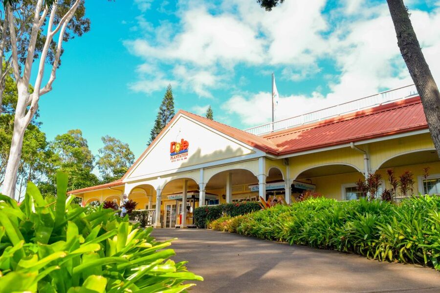 Honolulu: Oahu Island Full-Day Guided Tour by Bus with Lunch - Waimea Valley is the day’s main active stop