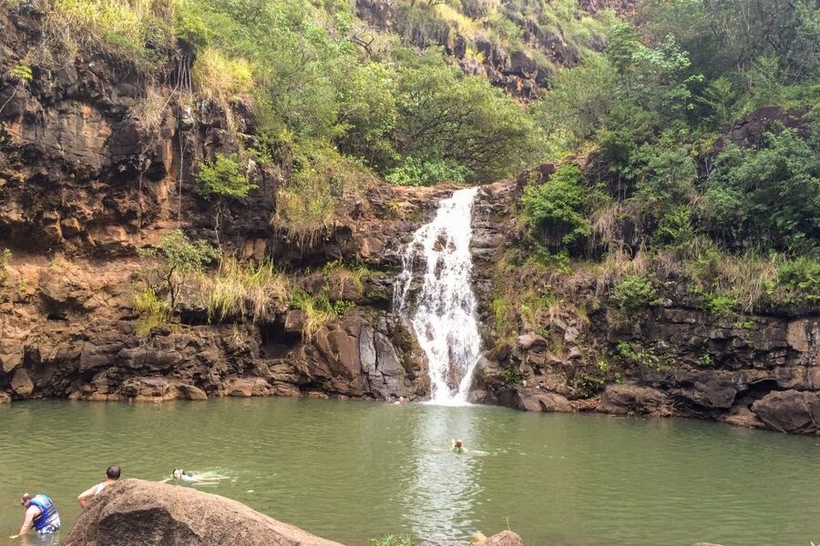 Honolulu: Oahu Island Full-Day Guided Tour by Bus with Lunch - Dole Plantation is useful, but the most commercial stop