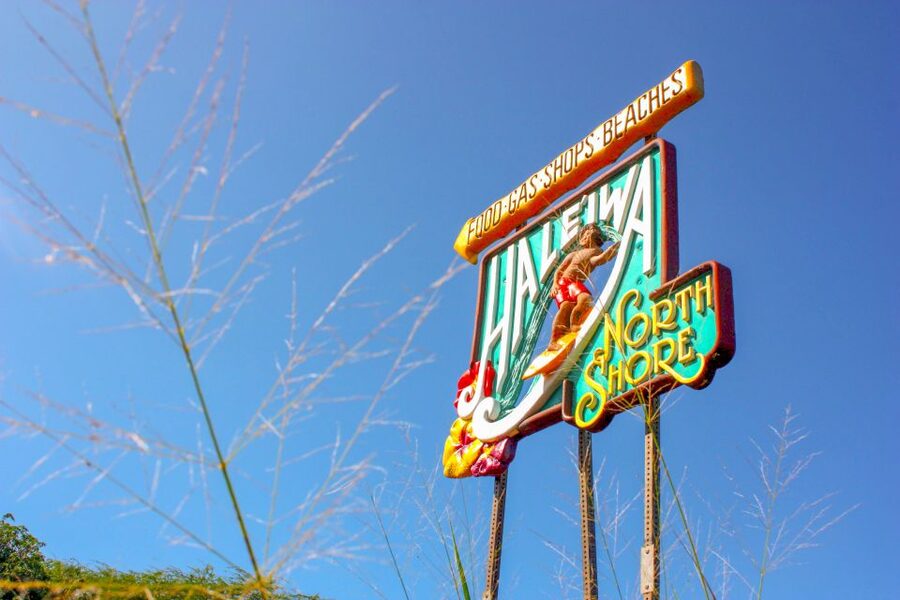 Honolulu: Oahu Island Full-Day Guided Tour by Bus with Lunch - The bus makes Oahu simple, but not intimate