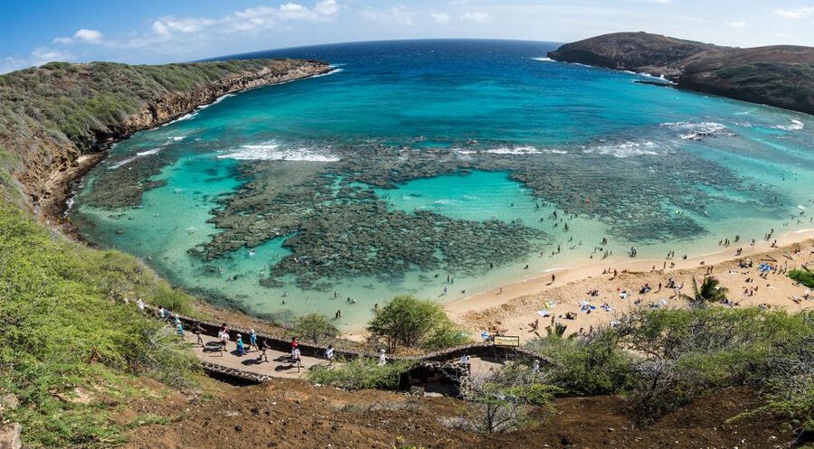 Honolulu: Oahu Island Highlights Tour with Multiple Stops - Why the Guide Can Make or Break the Day