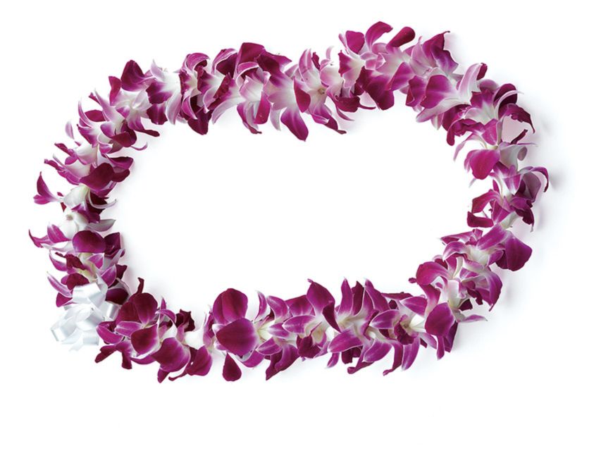 Honolulu: Private Airport Transfer with Arrival Lei Greeting - Why a private Honolulu airport transfer can be worth it