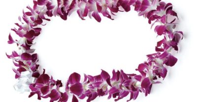 Private Airport Transfer with Arrival Lei Greeting