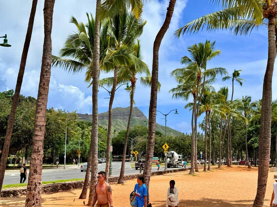 Honolulu: Waikiki Food Tour with Local Guide - What the Guide Adds Beyond the Food