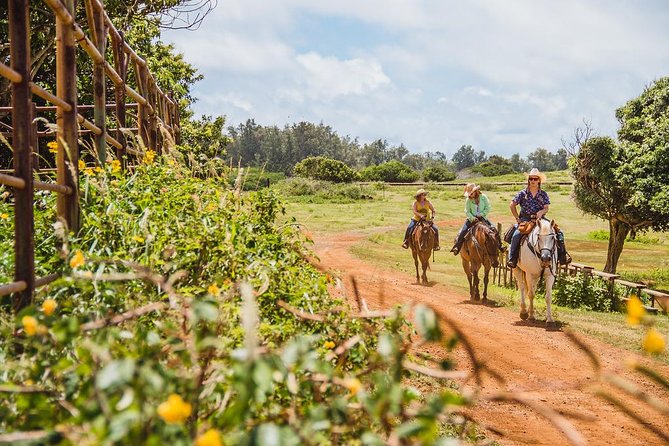 Horseback Ride Like an Authentic Paniolo in Kahuku - Key points to know before riding