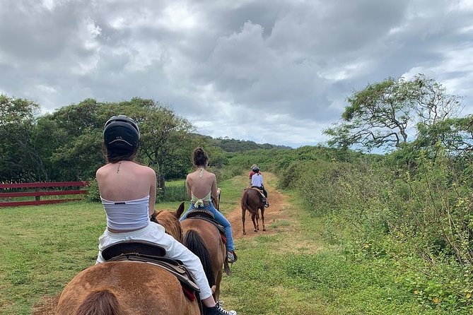 Horseback Ride Like an Authentic Paniolo in Kahuku - The 90-minute route stays gentle