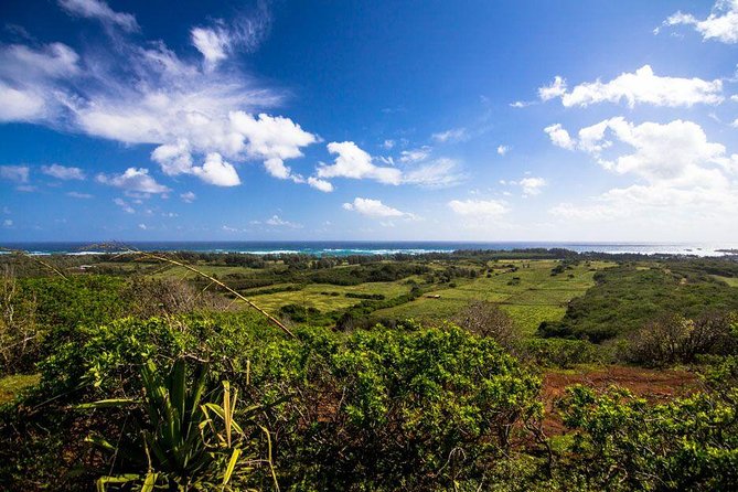 Horseback Ride Like an Authentic Paniolo in Kahuku - Check-in takes 45 minutes for a reason
