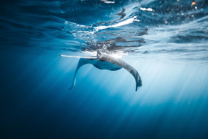 'Imiloa Express Nā Pali Snorkel Tour - Food, drinks, and the timing problem
