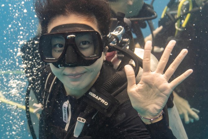 Incredibly Fun Coral Reef Giant Sea Turtles 4hour Boat Scuba Tour - What this Oahu boat trip really offers