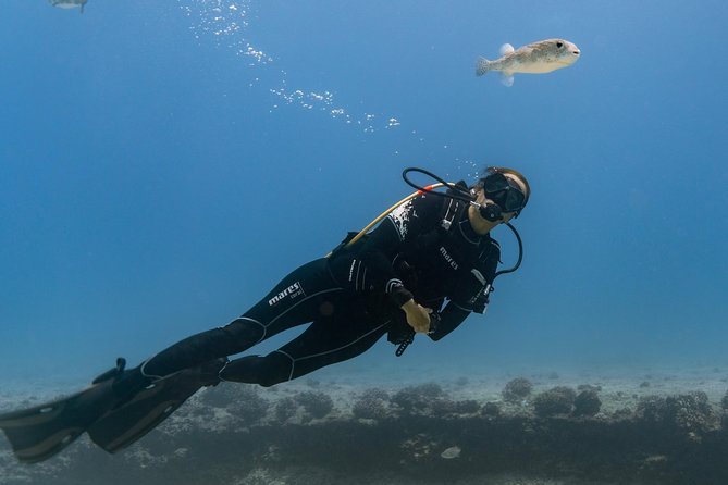 Incredibly Fun Coral Reef Giant Sea Turtles 4hour Boat Scuba Tour - The first underwater session is about control