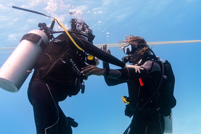 Incredibly Fun Coral Reef Giant Sea Turtles 4hour Boat Scuba Tour - How much value do you get for $299?