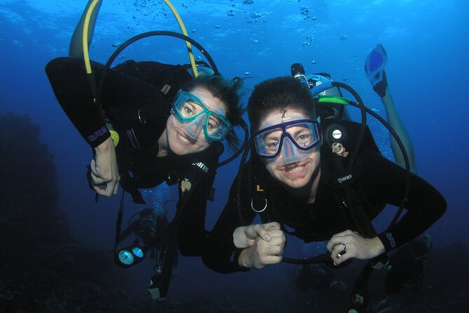 Intro/Refresher Dive Swim Ability Required - Key points to know before booking