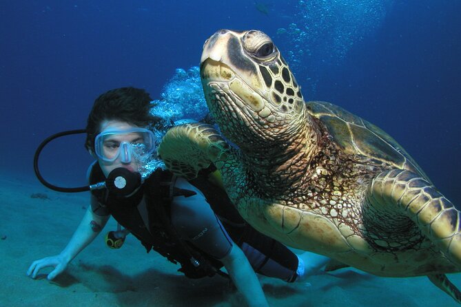 Intro/Refresher Dive Swim Ability Required - A gentle first step into Maui scuba