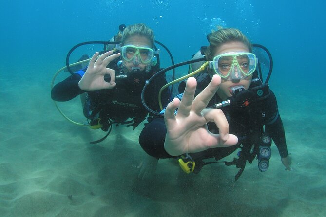 Intro/Refresher Dive Swim Ability Required - Meeting in Lahaina at 65 Kai Ala Drive