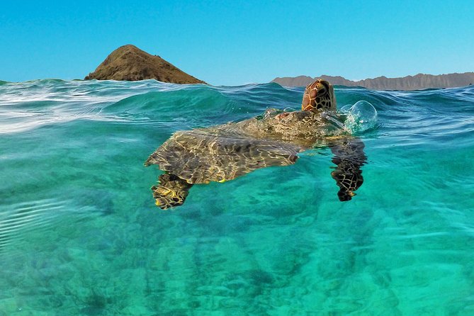 Kailua 2-Hour Guided Kayaking Excursion, Oahu - Kailua Bay, Ko’olau views, and a short paddle to Flat Island