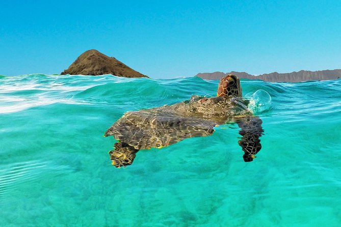 Kailua Bay, Oahu: Epic Kayak and Snorkel to Islands - Wind, Fitness, and the Details That Matter