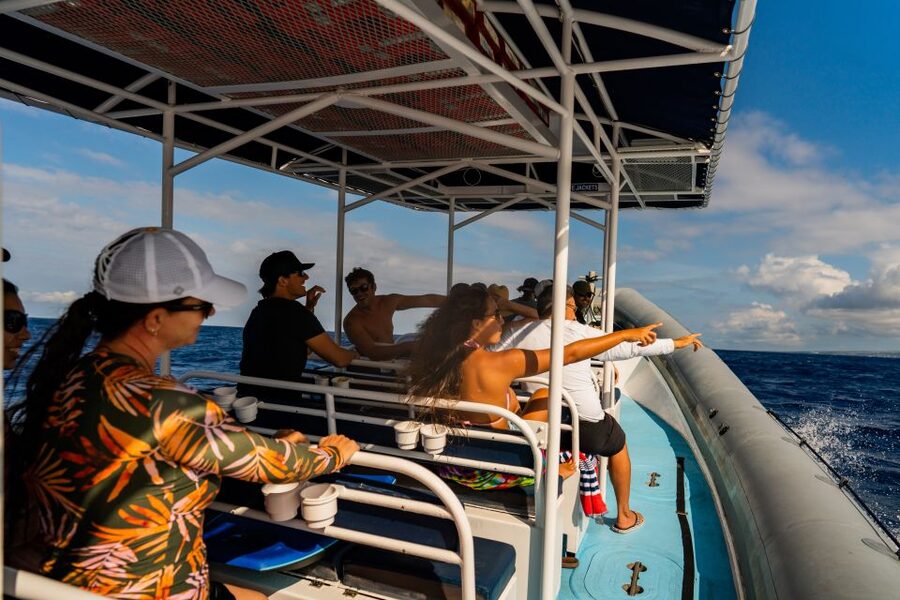 Kailua-Kona: Big Island Morning Snorkeling Tour with Lunch - Who will enjoy this tour most