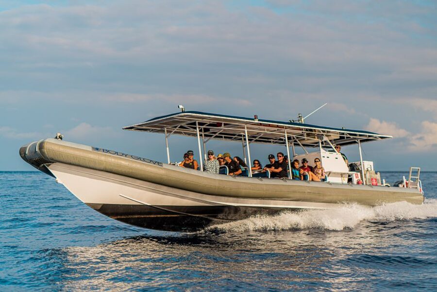 Kailua-Kona: Big Island Morning Snorkeling Tour with Lunch - Should you book the Kailua-Kona morning snorkeling tour?