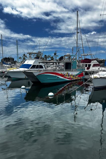 Kailua-Kona: Captain Cook Reef Catamaran Day Trip with Lunch - Key things to know before booking