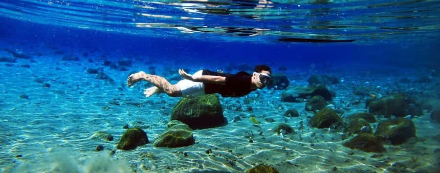 Kailua Kona: Dolphin, Sea Cave and Captain Cook Snorkel Tour - Why this 150-minute trip feels different
