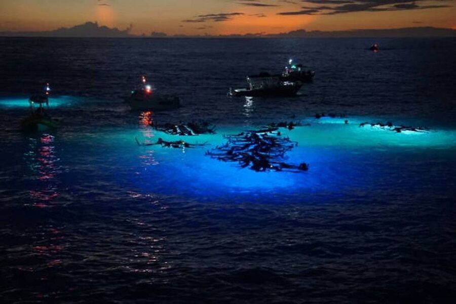 Kailua-Kona: Manta Ray Watching Nighttime Boat Trip - Why Kona’s night manta encounter feels so different