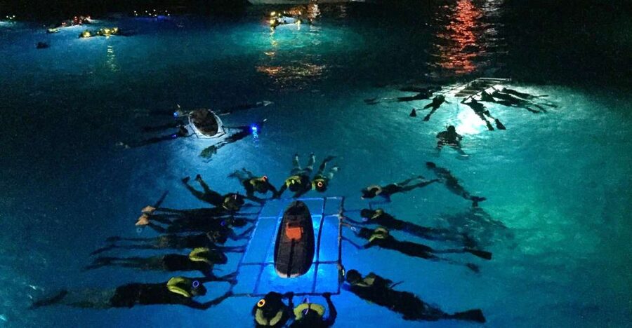 Kailua Kona: Night Manta Ray Adventure on the Big Island - Holding the Light Board Beneath the Mantas