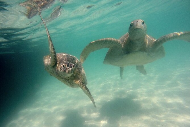Kaneohe Sandbar Snorkeling Tour - 2nd Tour - Snacks, Spam musubi, and the practical comforts