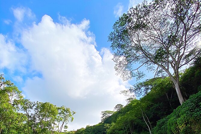 Kauai Adventure: Kayak & Hike to Secret Falls with Expert Guide - Leaving the kayaks for a rainforest hike