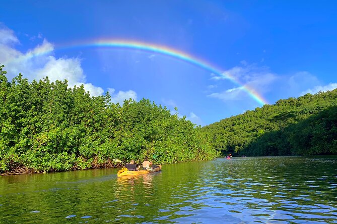 Kauai Adventure: Kayak & Hike to Secret Falls with Expert Guide - What the $140 price includes