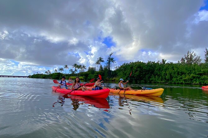 Kauai Adventure: Kayak & Hike to Secret Falls with Expert Guide - Who should book this Kauai adventure