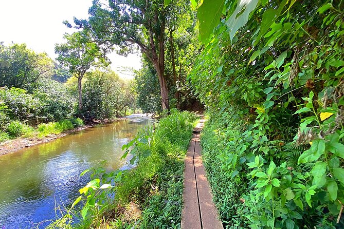 Kauai Adventure: Kayak & Hike to Secret Falls with Expert Guide - Weather, cancellations, and useful planning tips