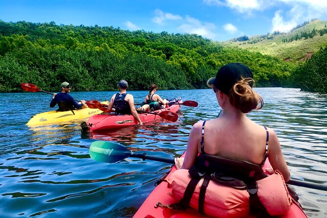 Kauai Adventure: Kayak & Hike to Secret Falls with Expert Guide - Learning to paddle on the Wailua River